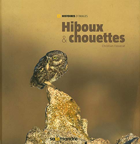 Hiboux & chouettes