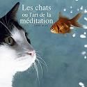 Les Chats ou l'art de la méditation