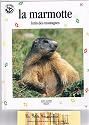 Marmotte lutin des montagnes (La) : gomette verte