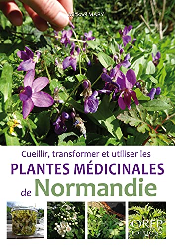 Plantes médicinales de Normandie